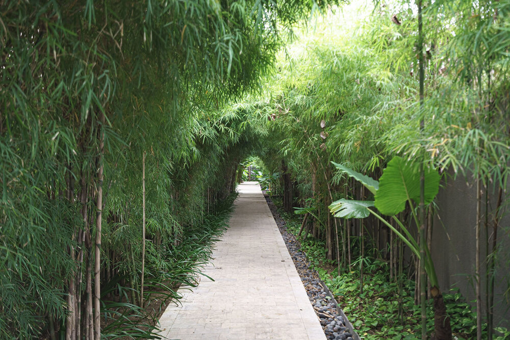  Pathways surrounded by greenery 