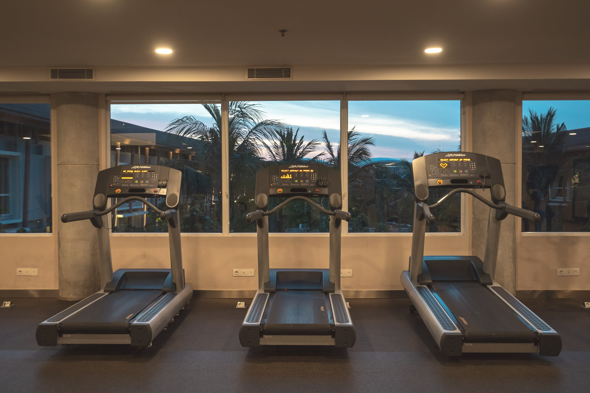Treadmills with a nice view