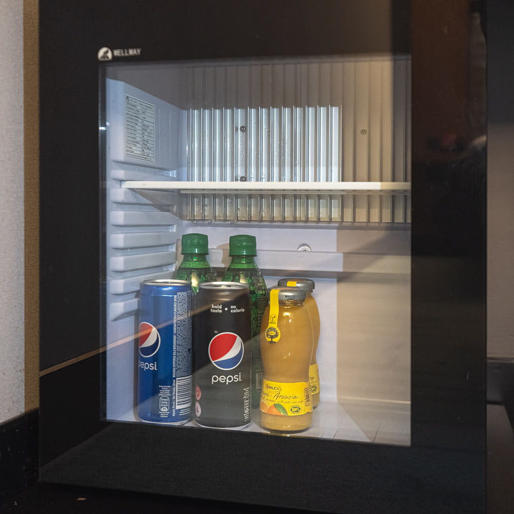  The mini fridge 